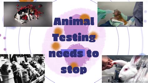 positive impact of animal testing|reasons why animal testing is bad.